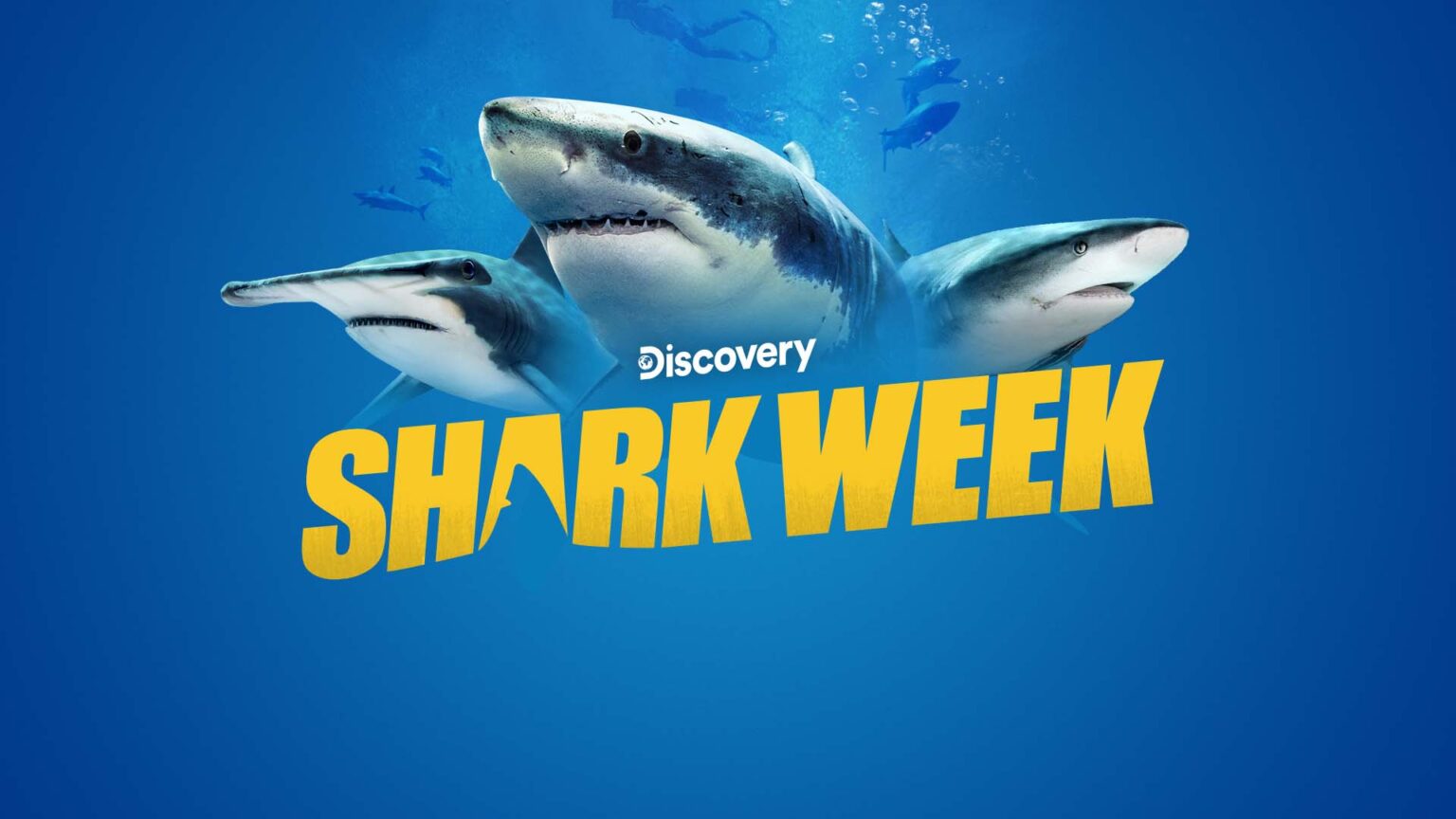 Shark Week Takes Ratings Bite Programming, Distribution Cablefax